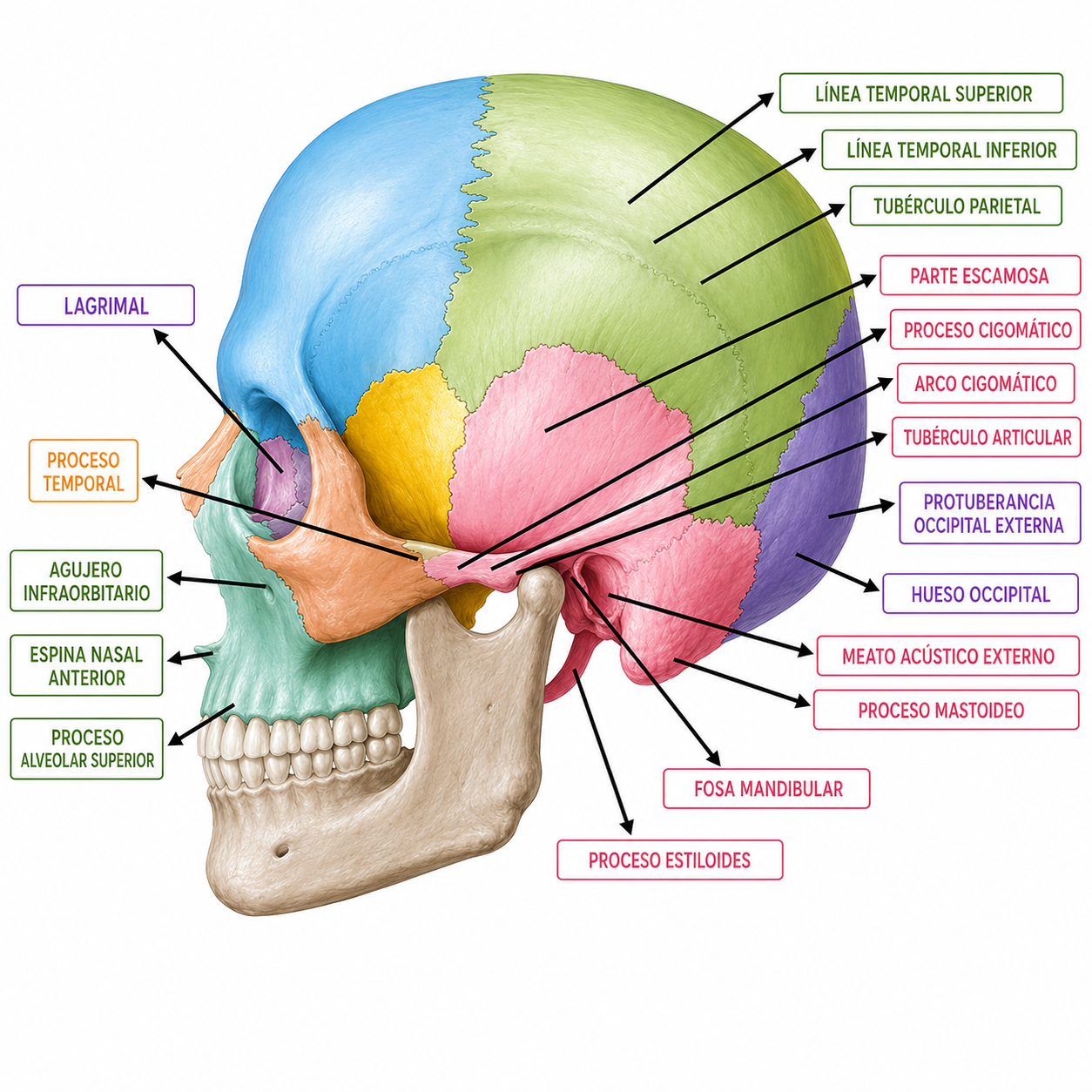 Ejercicio 6